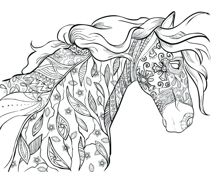 736x568 Race Horse Coloring Pages Horses Coloring Page Horse Coloring