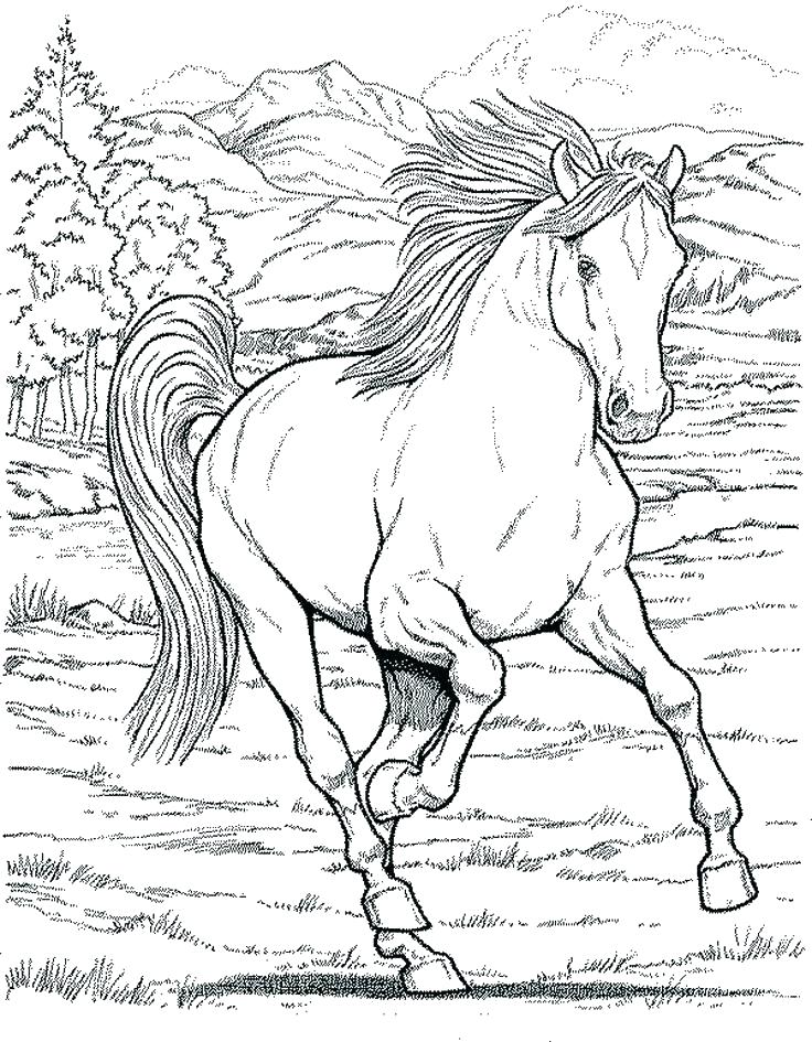 736x945 Horse Coloring Pages Free