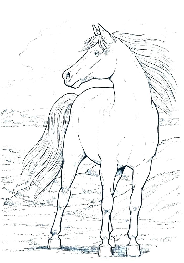 700x1000 Free Printable Horse Coloring Pages For Adults Advanced Horses