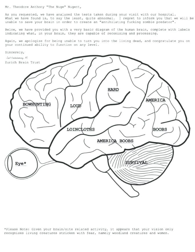 672x870 Brain Anatomy Coloring Pages Free Printable Human Anatomy Coloring