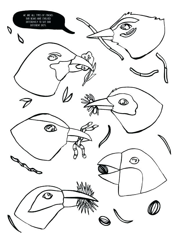 600x818 X Human Anatomy Coloring Pages Free Printable Heart Page Human
