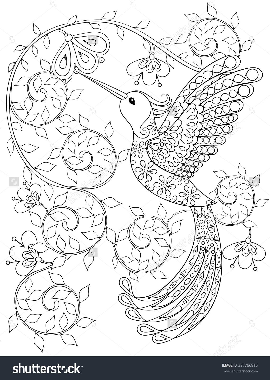 1138x1600 Adults Color Pages Free Printable Hummingbird Coloring