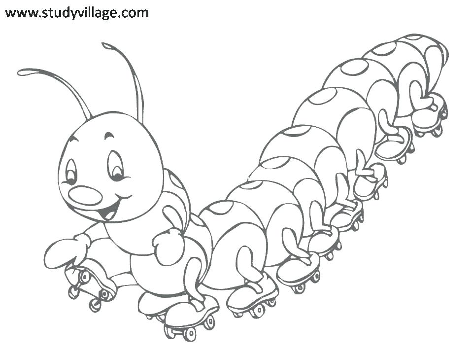 960x720 Insects Coloring Pages Insects Coloring Pages Funny Insects