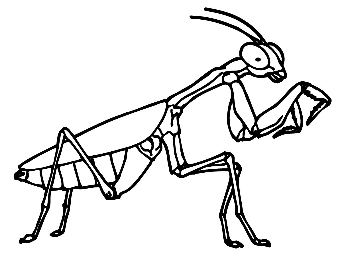 1200x900 Blue Beetleoloring Pages Lady Insects Pdf Beetlejuiceolouring