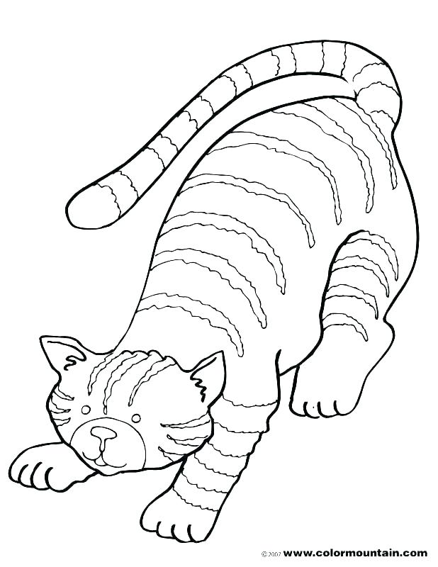 618x800 Free Kitten Coloring Pages Free Kitten Coloring Pages Kitten