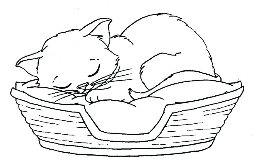 878x559 Printable Kitten Coloring Pages The Tiger Kitten Coloring Pages