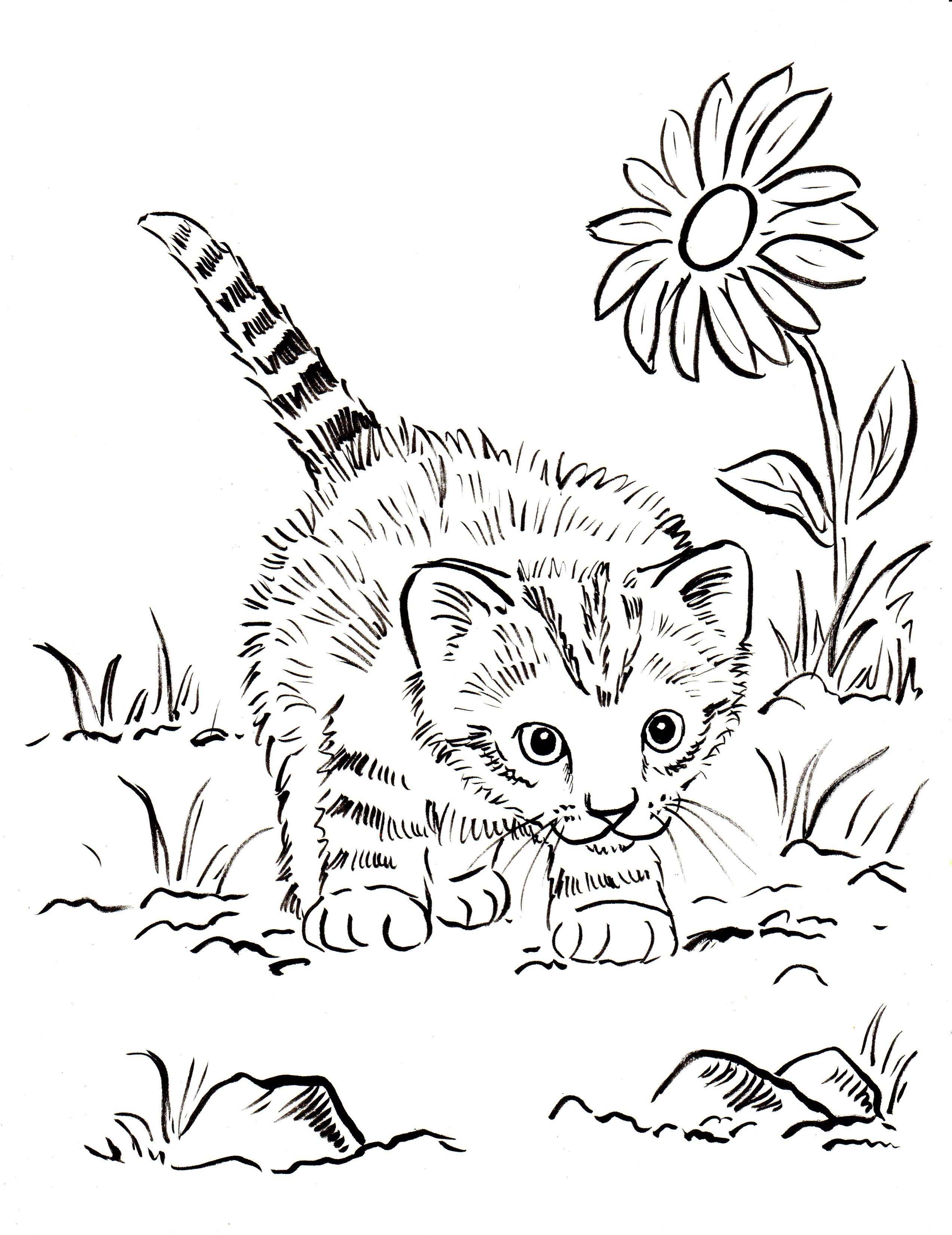 2545x3300 Cute Kitten Coloring Page Free Printable Pages Arresting
