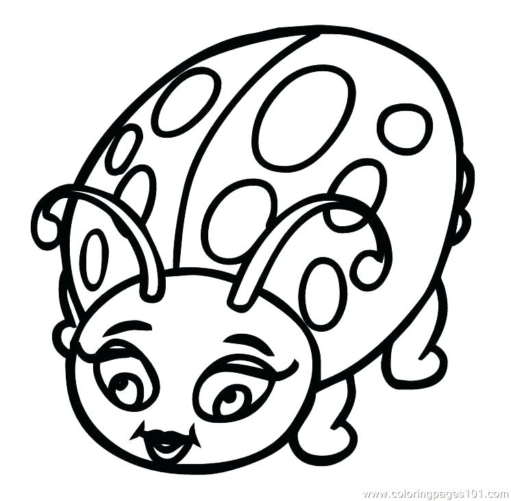 746x731 Ladybug Coloring Picture Lady Bug Coloring Pages Ladybug Outline