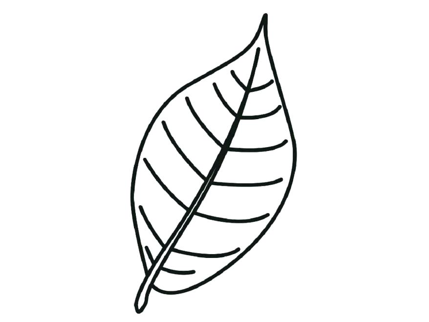 878x659 Leaf Pattern Printable Free Printable Leaves Coloring Pages Palm