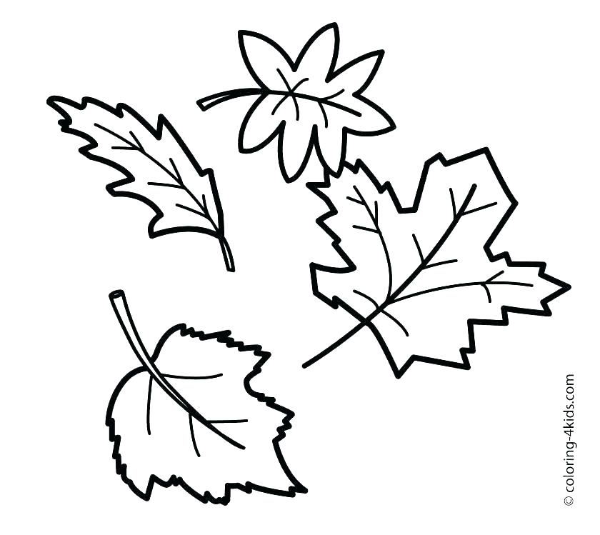 840x749 Free Printable Fall Leaf Coloring Pages Icontent