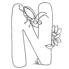 230x230 Top 10 Free Printable Letter N Coloring Pages Online