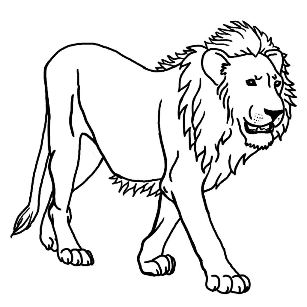 1024x1024 Lion Pictures Coloring Pages New Lion Coloring Pages Free