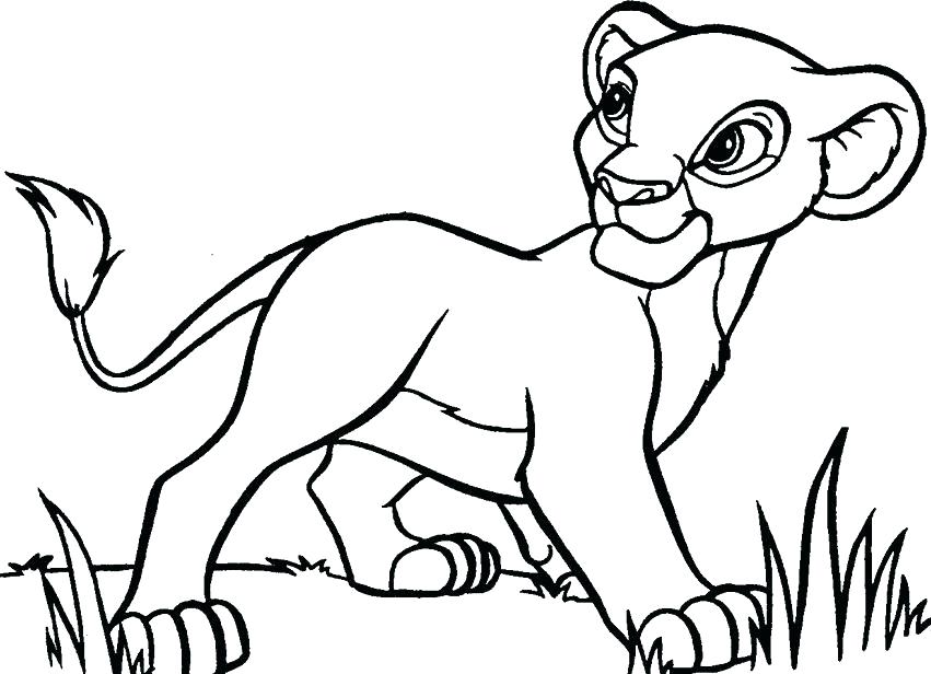 851x616 Marvellous Baby Lion Coloring Pages Lion Coloring Page Cute Baby