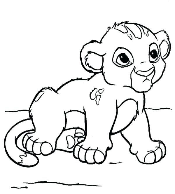 600x666 Baby Lion Outline Sea Lion Coloring Page Seal Coloring Sheets Free