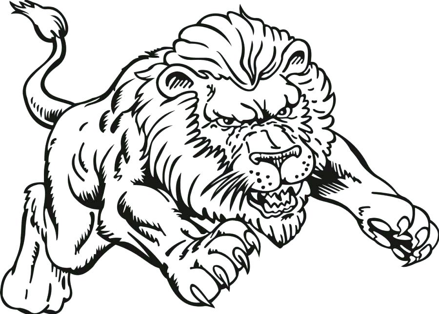 900x645 Coloring Pages Of A Lion Impair.co