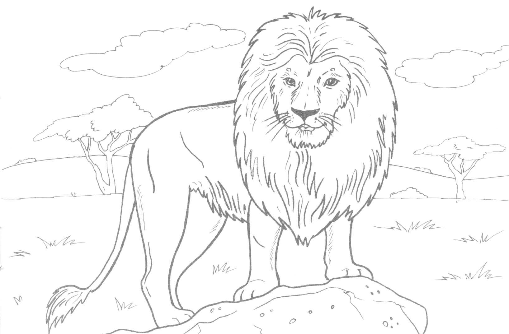 1635x1074 Printable Lion Coloring Pages For Kids Coloring Pages Lions Cute