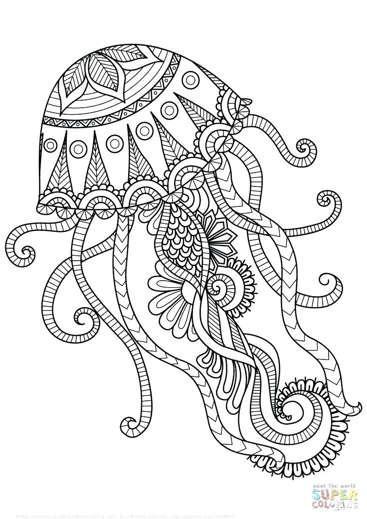 736x1041 Free Printable Animal Mandala Coloring Pages Kids Best Coloring