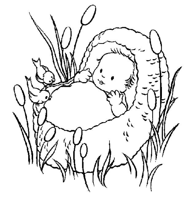 Free Printable Moses Coloring Pages