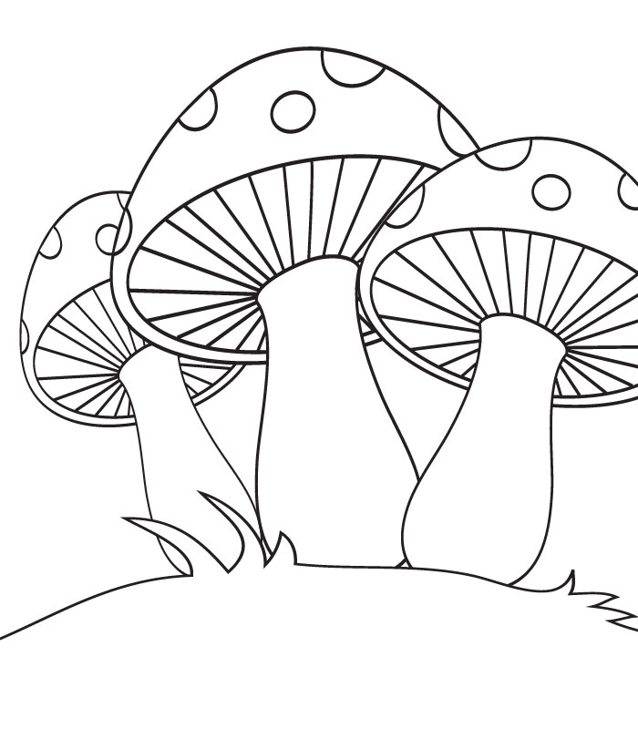 700x800 Mushroom Coloring Page New 100 Mushroom Coloring Page Top 25 Free