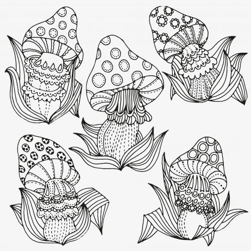500x500 Trippy Mushroom Coloring Pages. Beautiful Trippy Mushroom Coloring