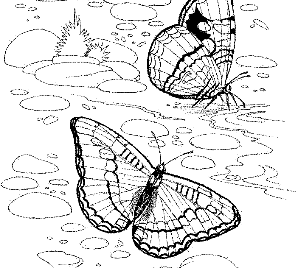 1000x900 Free Printable Nature In Spring Coloring Pages Kids Beautiful