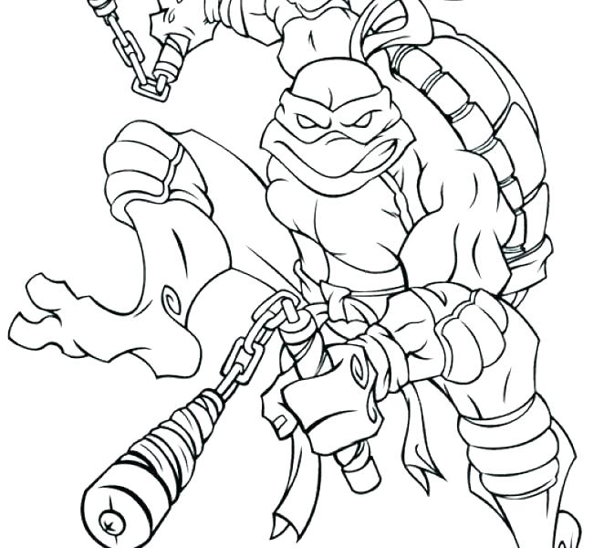 662x600 Free Turtle Coloring Pages Free Printable Turtle On Top