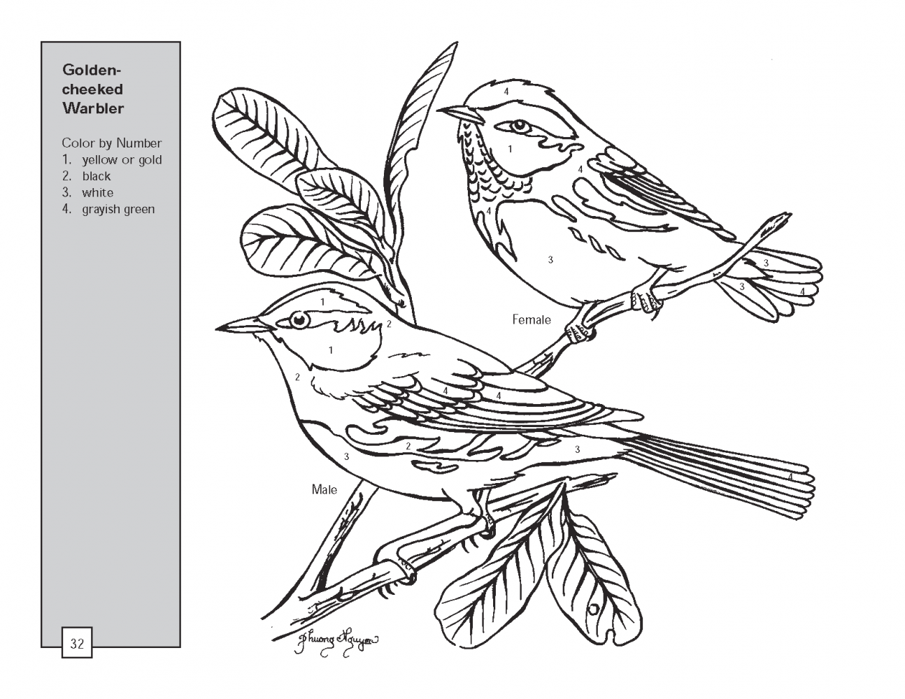1294x1000 Bird Color By Number Pages For Adults