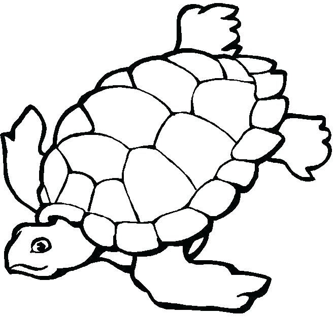 660x625 Coloring Pages Under The Sea Best Ocean Coloring Pages Ideas