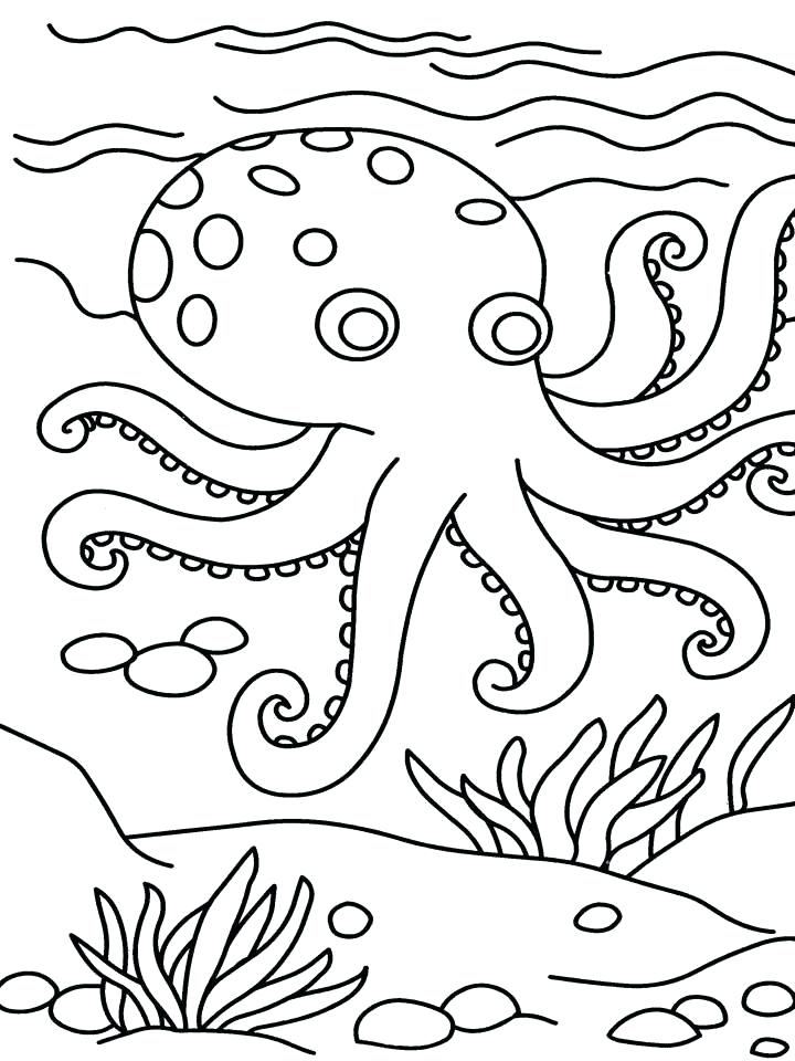 720x960 Colouring Pictures For Kids Free Printable Octopus Coloring Pages
