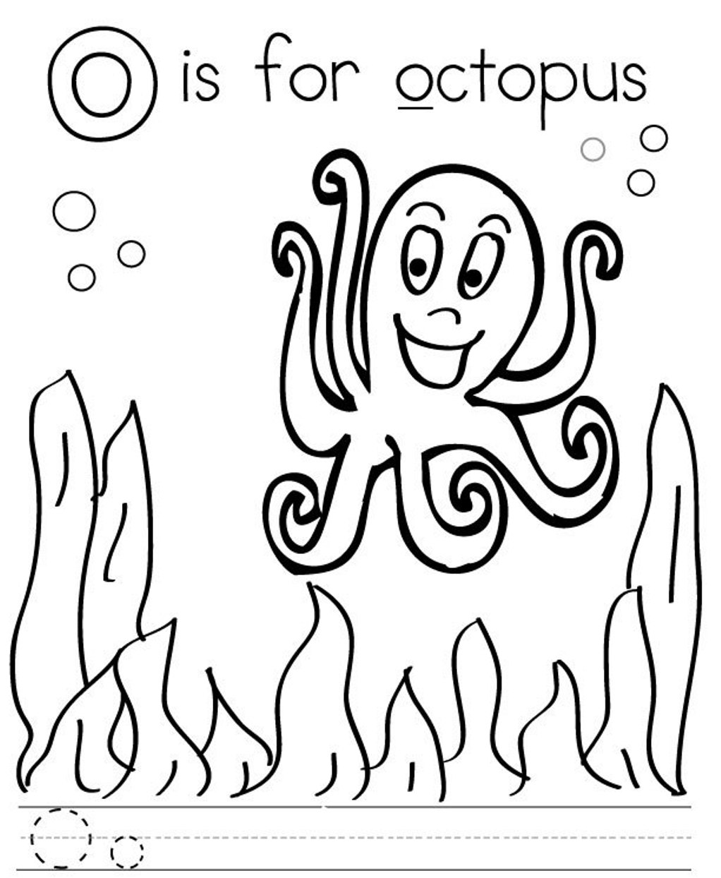1022x1244 Octopus