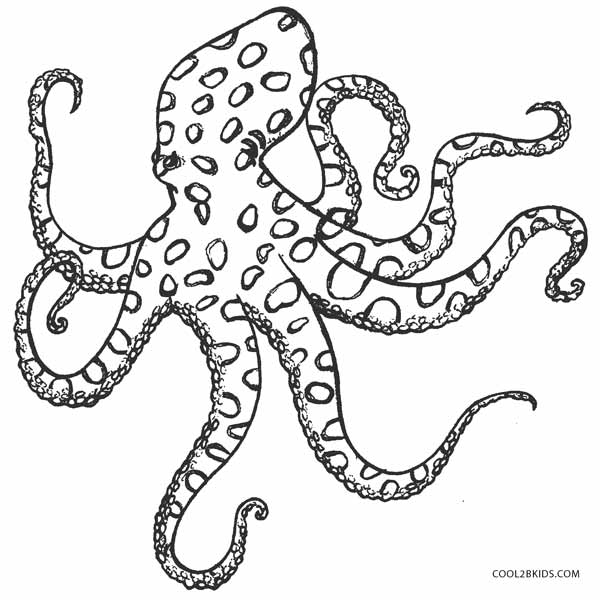 600x600 27 Images Of Octopus Coloring Template