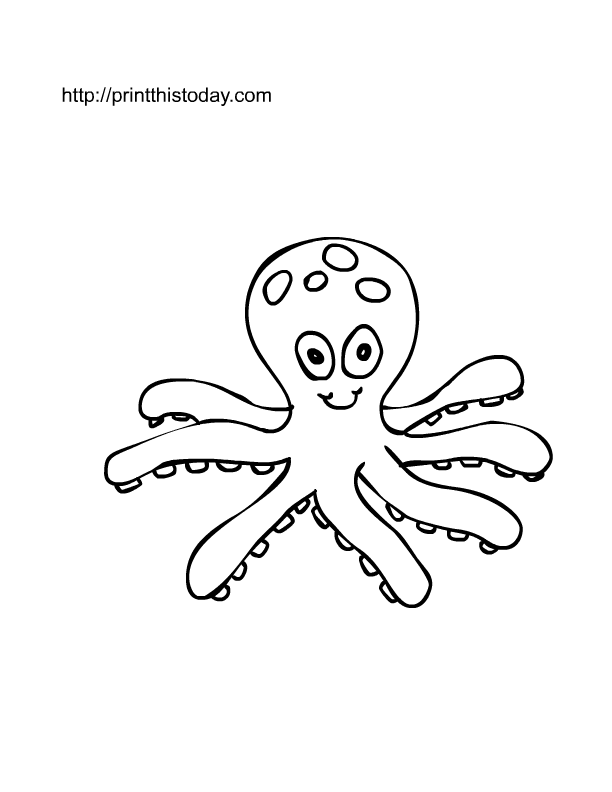 612x792 Octopus Pictures For Kids'0714