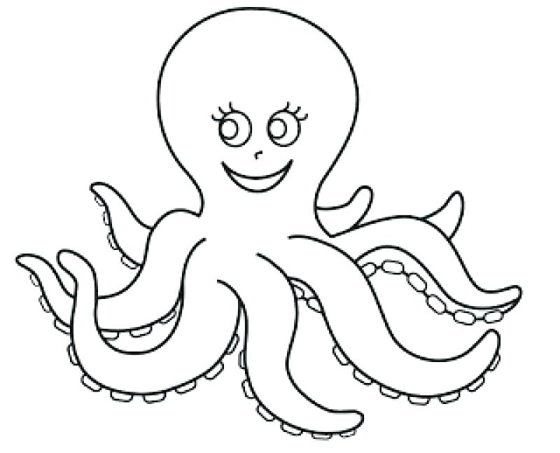 800x647 Printable Octopus Mask Kids Coloring Get This Octopus Coloring
