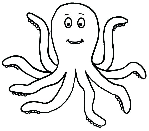 600x527 Rare Octopus Coloring Sheet Free Printable Page For Kids