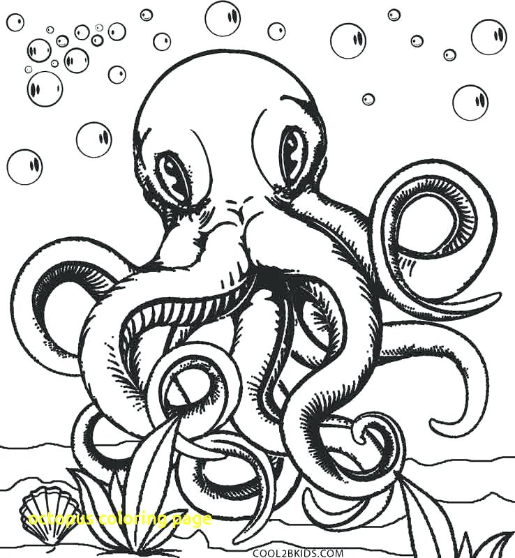 738x800 Coloring Page Octopus Octopus Coloring Page With Printable Octopus