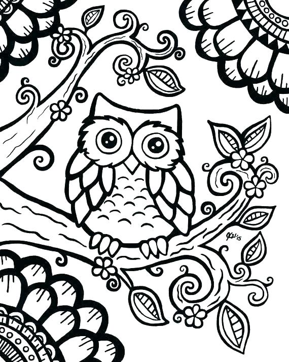 570x713 Owl Coloring Images Free Printable Owl Coloring Pages Best Owl