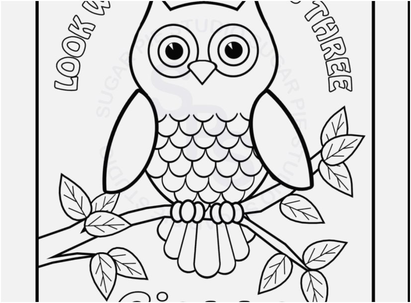 827x609 The Superior Pictures Printable Owl Coloring Pages Most Efficient