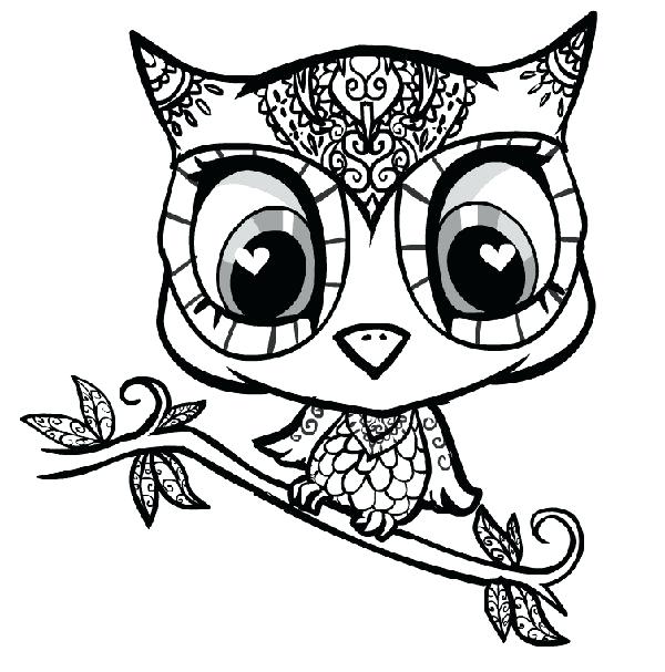 600x607 Owl Color Page