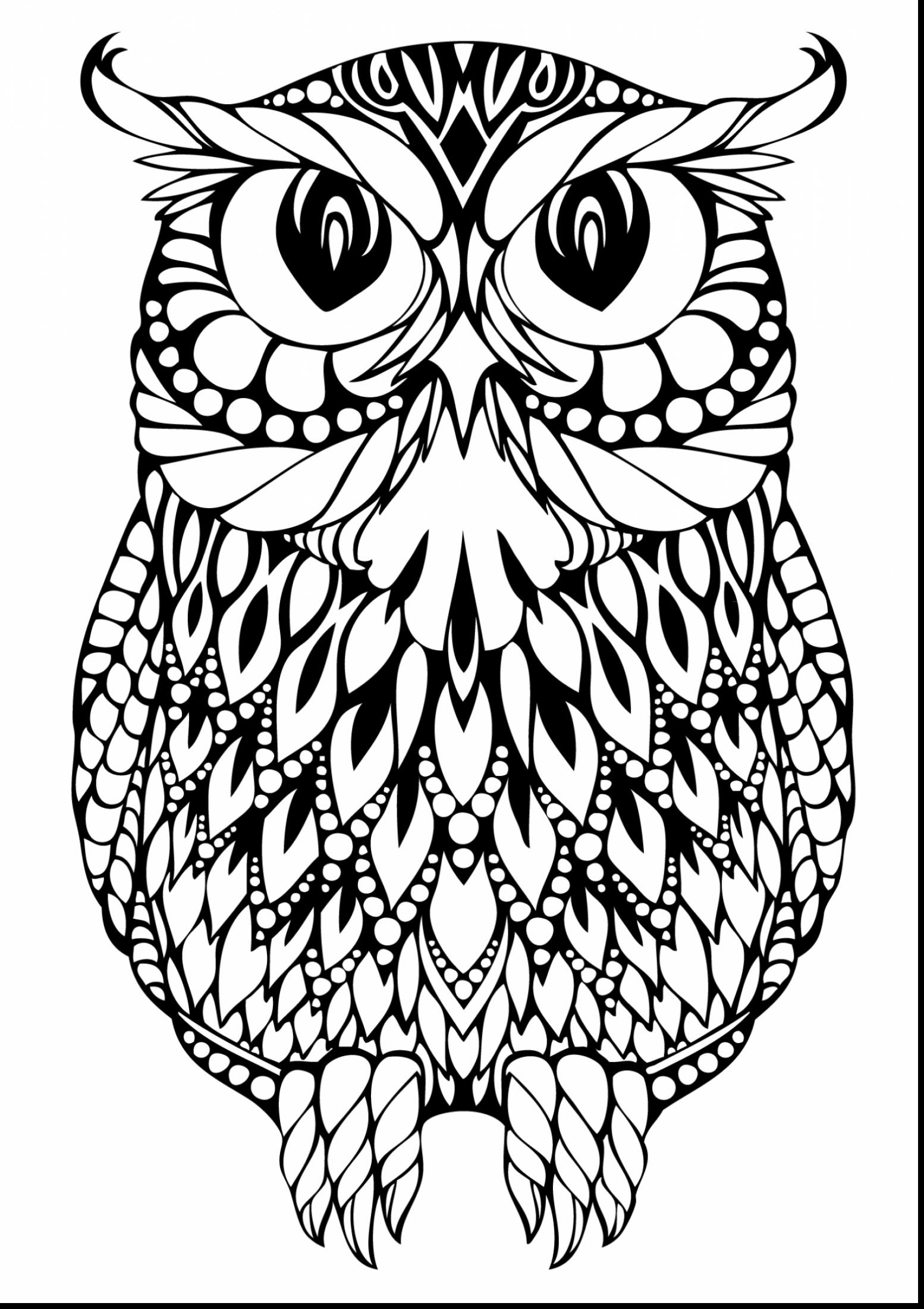 1554x2200 Best Of Astonishing Hard Owl Coloring Pages Adult With Coloring