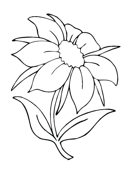 548x685 Flower Printable Coloring Pages Adults Free Printable Coloring