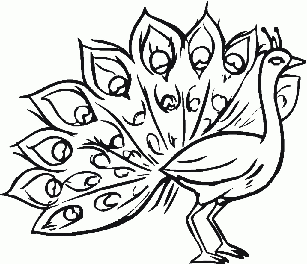 1024x882 Peacock Coloring Page Lovely Free Printable Peacock Coloring Pages