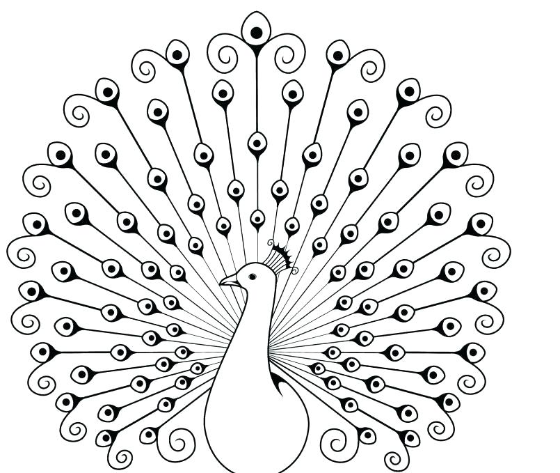 805x679 Peacock Coloring Pages Exclusive Pictures Of Peacocks To Color