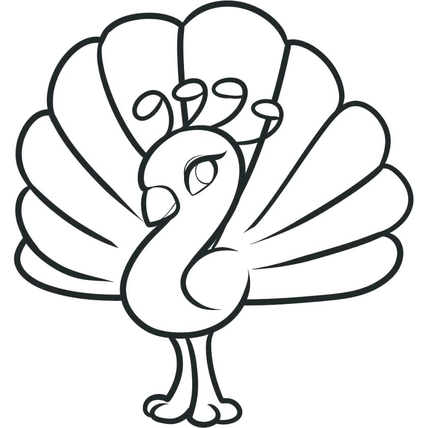 842x842 Peacock Coloring Pages Peacock Colouring Pages Free Printable