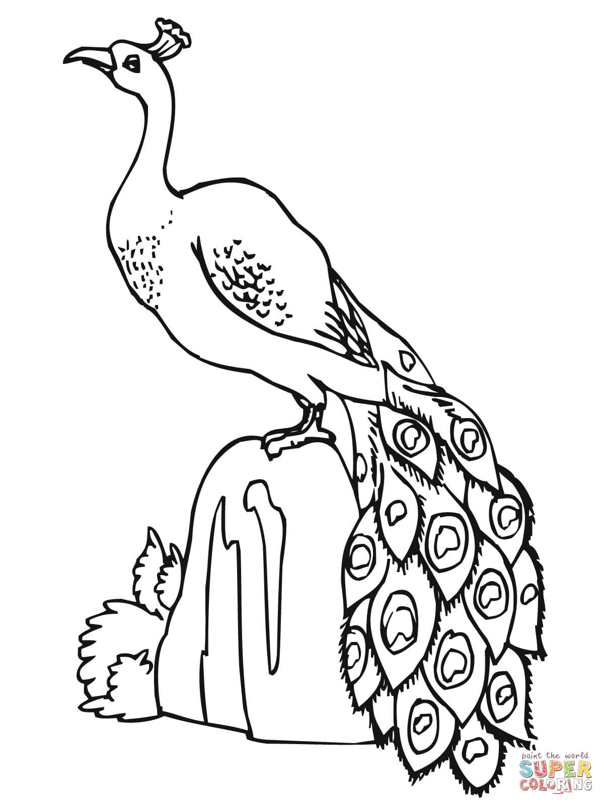 1200x1600 Peacocks Coloring Pages Free Coloring Pages Coloring Pages Peacock