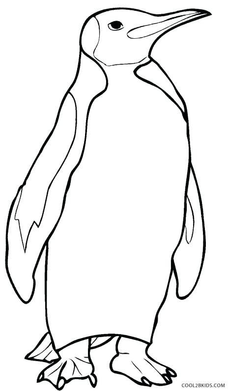 466x797 Winter Penguin Coloring Pages Winter Penguin Coloring Pages Tacky