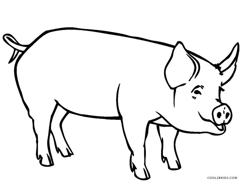 800x609 Plain Decoration Pig Coloring Pages Peppa Pig Coloring Pages