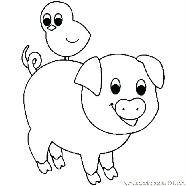 650x650 Pig Coloring Pages Cute Pig Coloring Pages Preschool Guinea Pig