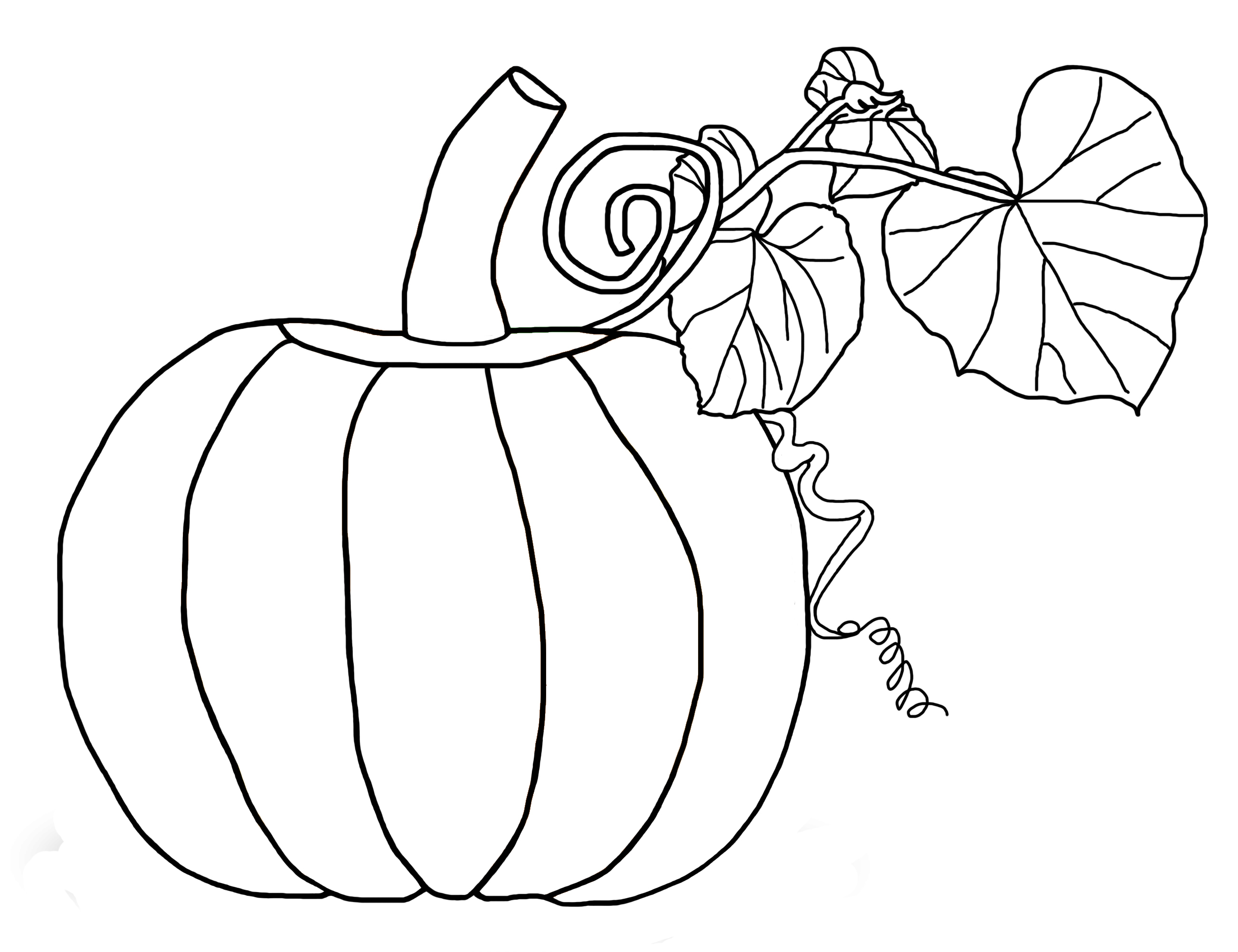 2600x2000 Free Printable Pumpkin Coloring Pages For Kids Pumpkin Coloring