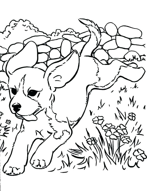 600x780 Puppy Coloring Pages Puppy Coloring Pages Puppy Coloring Pages