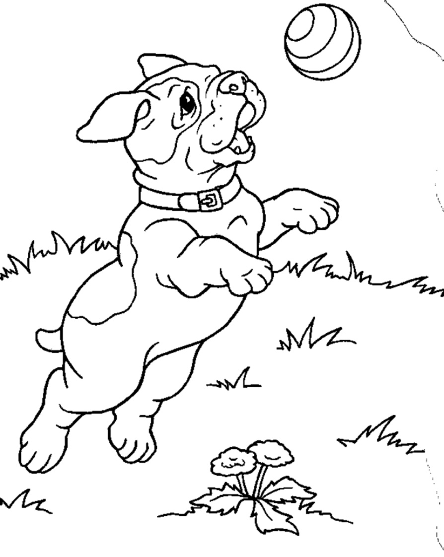 894x1122 Free Printable Puppies Coloring Pages For Kids Puppies Coloring